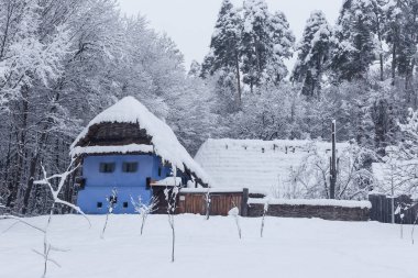 Romanya 'nın Sibiu kentindeki Astra Köy Müzesi' nden kış manzaraları