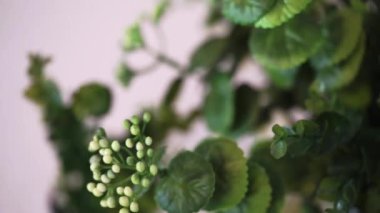 çiçek buketi dekorasyonu