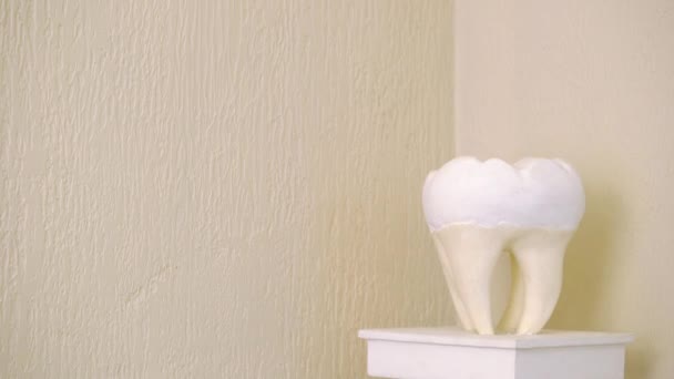 Skulptur av tand — Stockvideo
