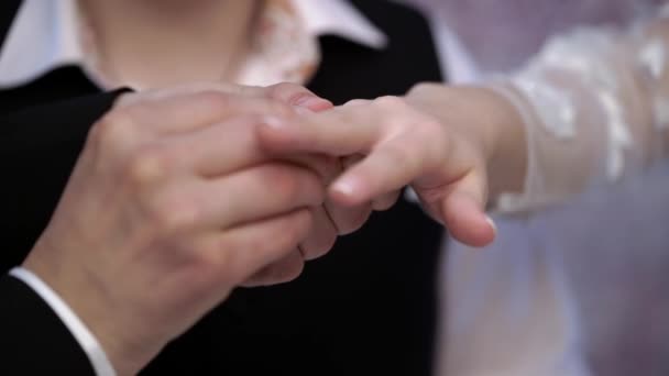 Bride and groom put on wedding rings — Stock Video