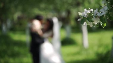 Gelin ve damat bir parkta kucaklayan