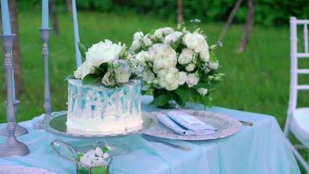 公园户外装饰桌上的婚礼蛋糕 — 图库视频影像