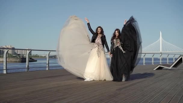 Dos mujeres jóvenes saludando vestidos — Vídeo de stock