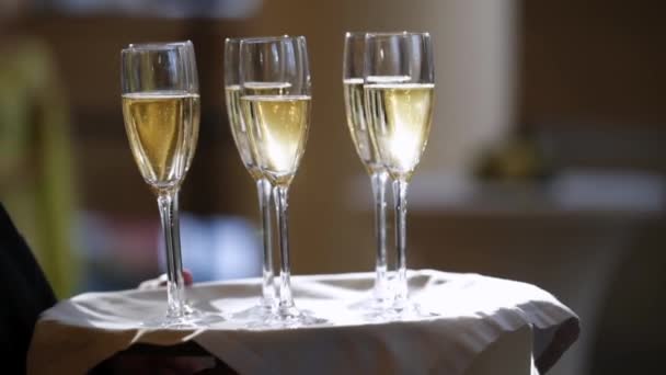 Tjener holder tallerken med glas champagne – Stock-video