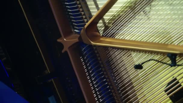 钢琴演奏在音乐会上 — 图库视频影像
