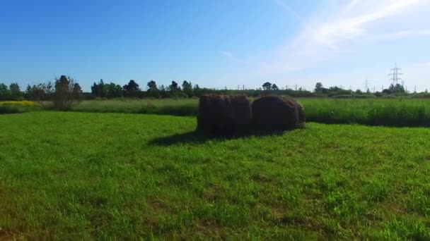 Стог сена в поле — стоковое видео