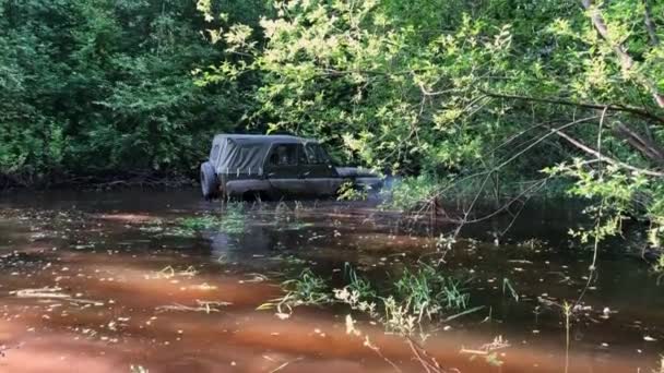 Off-road car in swamp — Stock Video