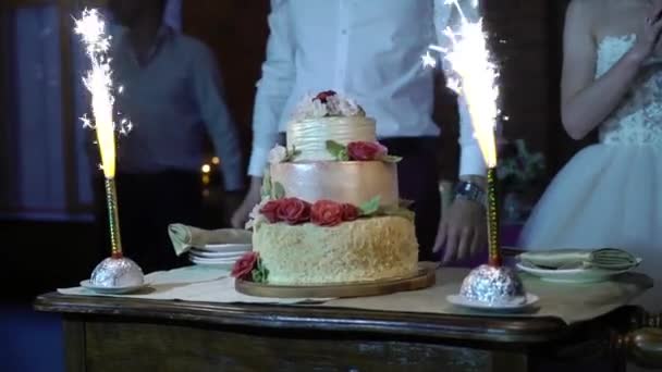 Celebration cake with fireworks — Stock Video