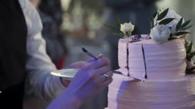 Gelin ve damat düğün pastasını kesiyor