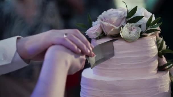 Nevěsta a ženich krájí svatební dort — Stock video