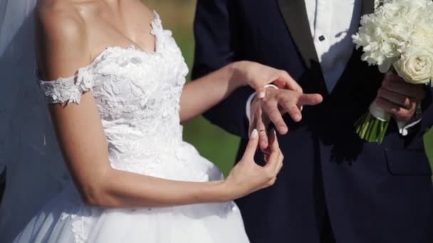 Pasangan yang menikah mengenakan cincin kawin pada upacara di luar ruangan di musim panas — Stok Video