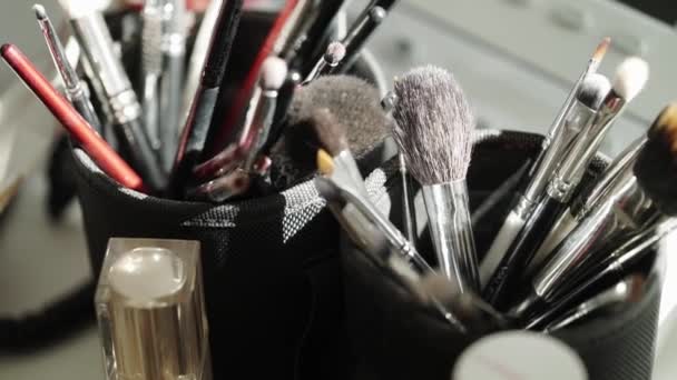 Professional makeup brushes — Stock Video