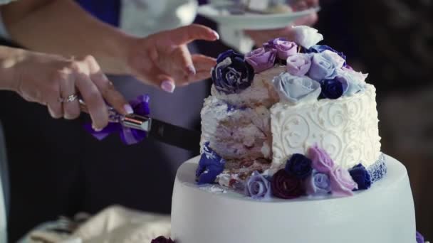 Novia y novio corte pastel de boda — Vídeos de Stock