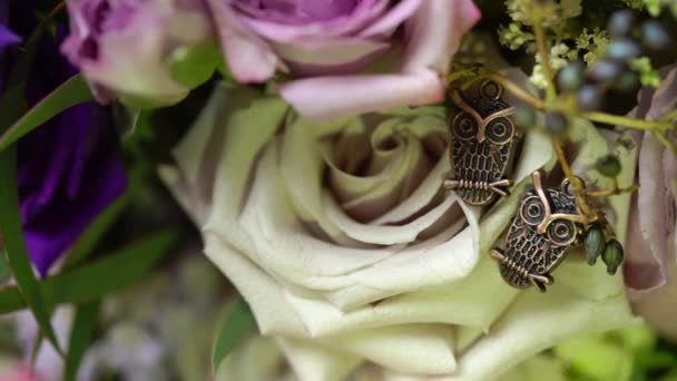 Γκρο πλαν θέα στη γυναικεία καρφίτσα από δύο κουκουβάγιες στα τριαντάφυλλα λουλούδια — Αρχείο Βίντεο