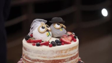 Baykuşlar rustik tarzda kutlama pastası düğün üstte rakamlar