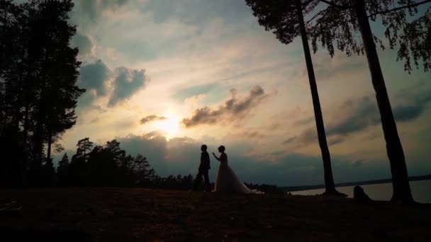 Silhueta de uma jovem noiva e noivo no pôr do sol fundo — Vídeo de Stock