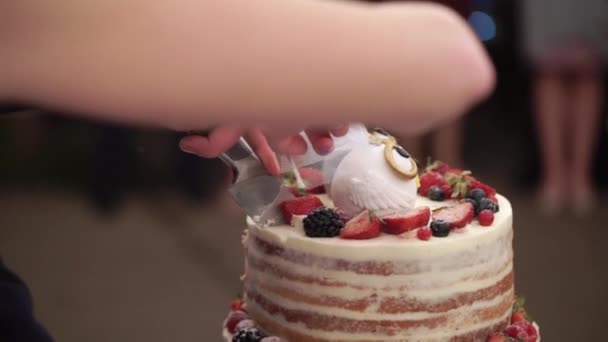 Pastel de celebración de boda en estilo rústico con figuras de búhos en la parte superior — Vídeos de Stock