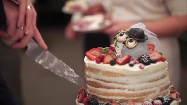 Wedding celebration cake in rustic style with owls figures on top — Stock Video