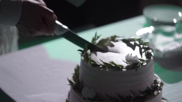 Huwelijk feest taart bruid en bruidegom snijden — Stockvideo
