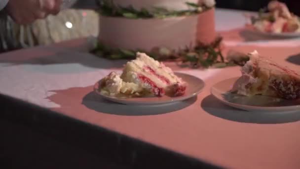 Boda celebración pastel novia y novio corte — Vídeo de stock