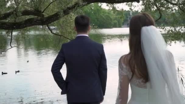 Yakışıklı damat için geliyor ve birbirlerine sarılma görkemli düğün elbise gelin — Stok video