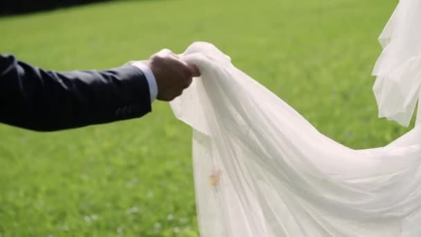 Nevěsta a ženich pěšky přes park na slunečný letní den — Stock video