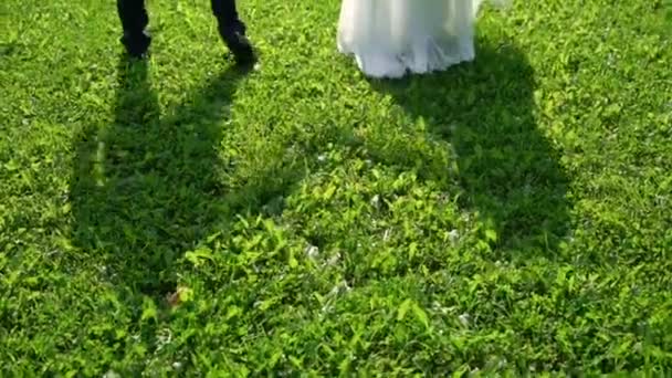 Bruid en bruidegom lopen over park op zonnige zomerdag — Stockvideo