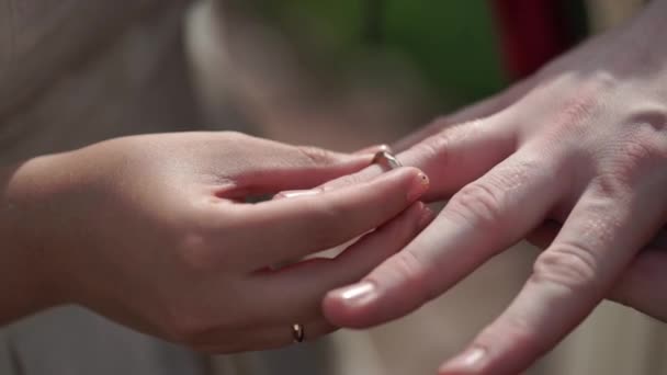 Novia poniendo un anillo en los novios dedo durante la ceremonia de la boda — Vídeo de stock