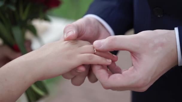 Groom putting a ring on brides finger during wedding ceremony — Stock Video