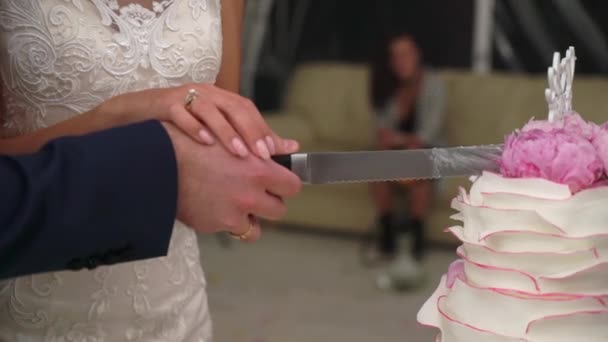 新娘和新郎切结婚蛋糕 — 图库视频影像