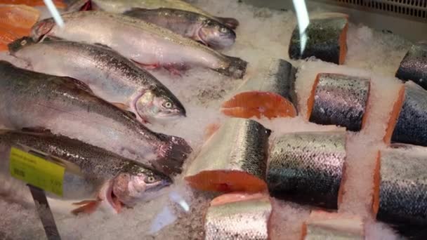 Pesce congelato. Mercato del pesce fresco. Vendita di pesce sul mercato. Pesce salmone ghiacciato. Pesce fresco sul ghiaccio in vendita al mercato. Un mucchio di pesce crudo congelato su ghiaccio — Video Stock