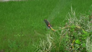 Otomatik fıskiye sistemi yeşil çimlerin arka planında çimleri suluyor