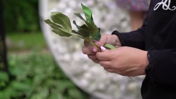 Att ordna konstgjorda blommor dekoration. Ung kvinna florist arbeta att göra organisera diy konstgjord blomma, hantverk och handgjorda koncept. — Stockvideo