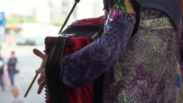 Close up musicians playing accordion on stage — Stock Video