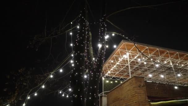 Decorative Outdoor String Lights Hanging On Tree In The Garden At Night Time