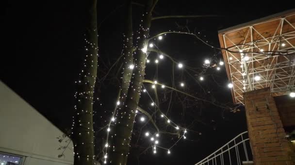 Decorative Outdoor String Lights Hanging On Tree In The Garden At Night Time