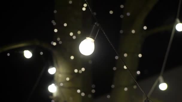 Luces decorativas de cuerda al aire libre colgadas en el árbol en el jardín por la noche — Vídeo de stock