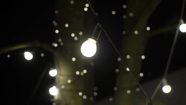 Decorative Outdoor String Lights Hanging On Tree In The Garden At Decorative Outdoor String Lights Hanging On Tree In The Garden At Night Time Stock