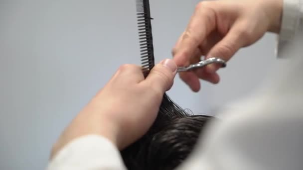 Mann lässt sich vom Friseur die Haare schneiden — Stockvideo