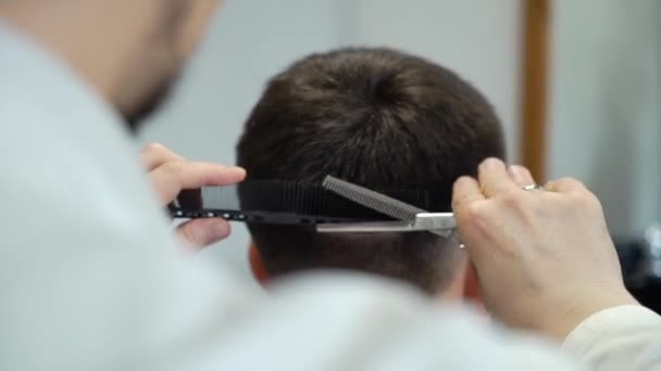 Homem recebendo um corte de cabelo por um cabeleireiro — Vídeo de Stock