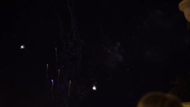 Gece gökyüzünde çeşitli renklerde renkli havai fişekler