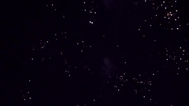 Fuegos artificiales coloridos de varios colores sobre el cielo nocturno — Vídeo de stock