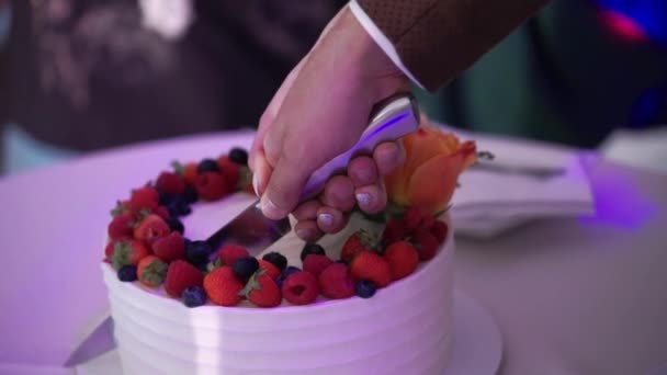 Boda celebración pastel novia y novio corte — Vídeo de stock