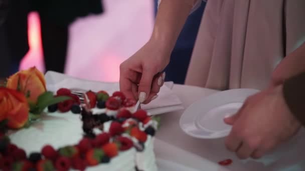 Celebrazione nuziale torta sposa e sposo taglio — Video Stock