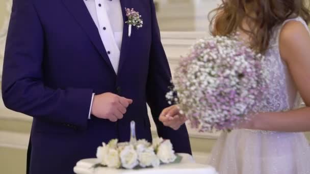 Noiva e noivo colocar em anéis de casamento — Vídeo de Stock