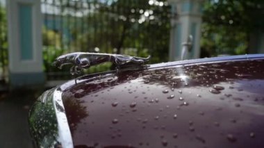 Saint-Petersburg, Rusya-23 Eylül 2018: Eski retro kırmızı Jaguar araba yağmurlu bir gün, bir şehirde