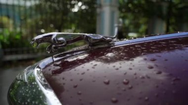 Saint-Petersburg, Rusya-23 Eylül 2018: Eski retro kırmızı Jaguar araba yağmurlu bir gün, bir şehirde