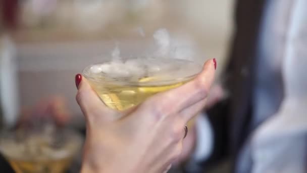 Les gens avec un verre de vin mousseux à la fête — Video