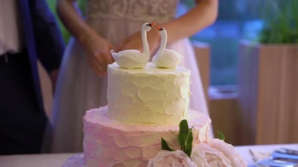 Wedding celebration cake bride and groom cutting — Stock Video