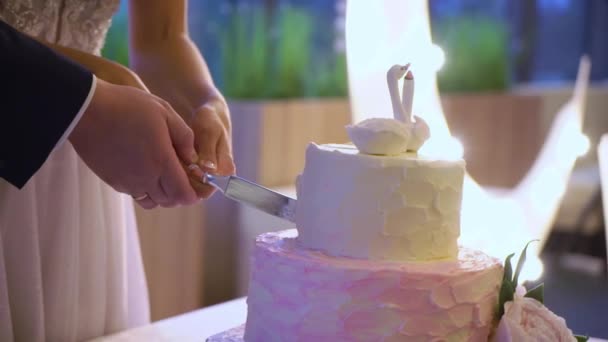 Свадебный торт невесты и жениха резки — стоковое видео